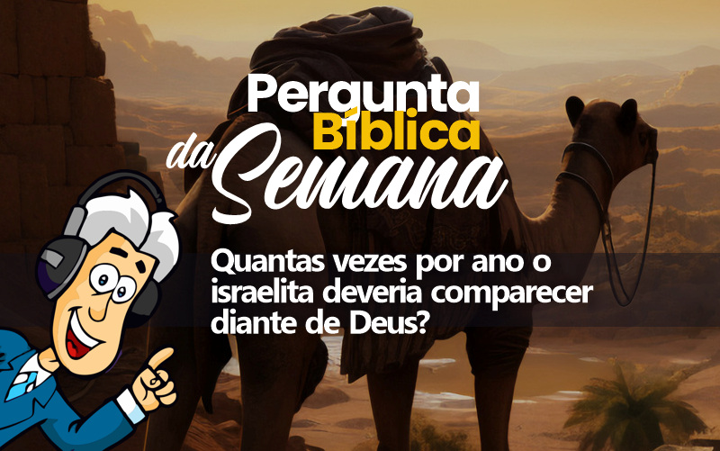 23maio2025app